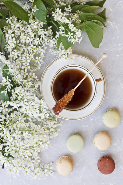 Närbild Varm Kopp Med Söta Macaroons Omgiven Vacker Vitblommande Apple — Stockfoto