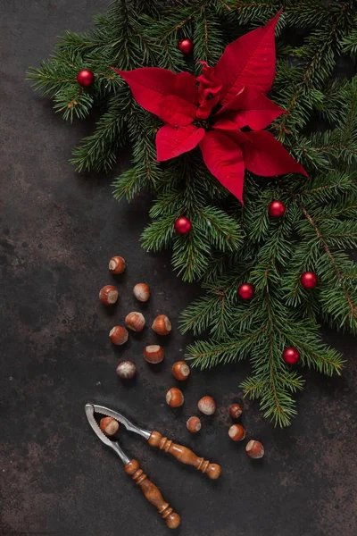 Köknar ağacı dallı, noktalı, fındıklı Noel dekoru. — Stok fotoğraf