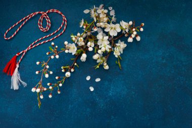 Kırmızı ve beyaz kablo Martiso ile çiçek açan kiraz ağacı dalı
