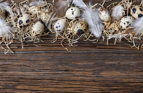 Telur puyuh dengan latar belakang kayu pedesaan. Bingkai, pola — Stok Foto