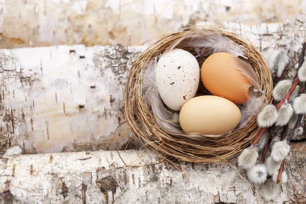 Dekorasi Paskah - sarang dengan telur dan pohon willow di atas kayu birch — Stok Foto