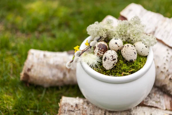 Decoração de Páscoa Ovos de Páscoa no ninho e penas — Fotografia de Stock