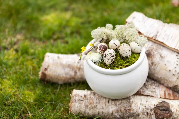 Dekorasi Paskah Telur Paskah di sarang dan bulu — Stok Foto