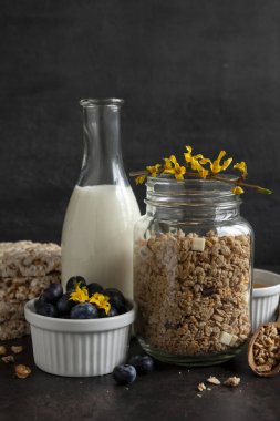 Kahvaltılık granola, müsli ve taze yaban mersini.