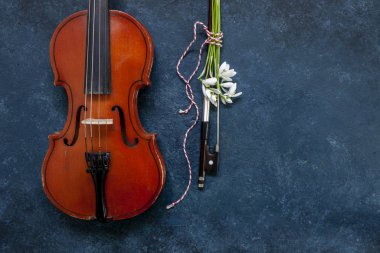 Eski Keman ve Taze Güzel Buket 