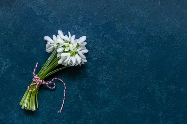 Buquê bonito fresco da primeira floresta de primavera nevascas — Fotografia de Stock