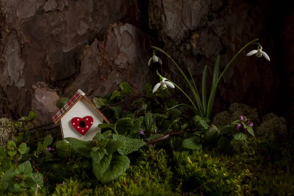 Piękne Pierwsze Wiosenne Kwiaty Śniegu Mały Domek Dla Ptaków Mchu — Zdjęcie stockowe
