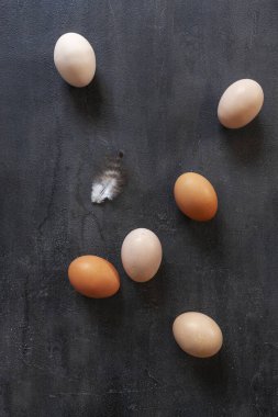 Taze Çiftlik Tavuğu Yumurtalarının Yakın Çekimi