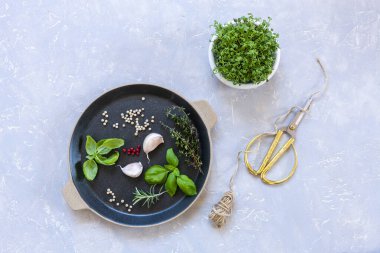 Su teresi salatası mikroyeşillikleri ve baharatlı otlar, baharatlar. Yakın plan, açık gri arkaplanda en üstten görünüm