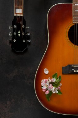 Acoustic guitar and apple tree flowers on dark brown background clipart