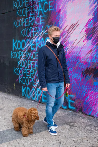 Adam yüz maskesi takan köpeği gezdiriyor. 