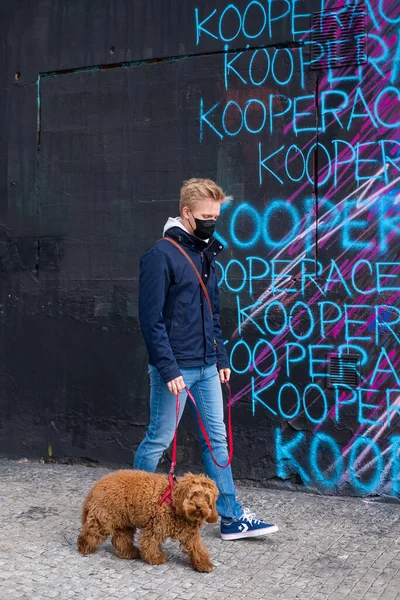 Adam yüz maskesi takan köpeği gezdiriyor. 