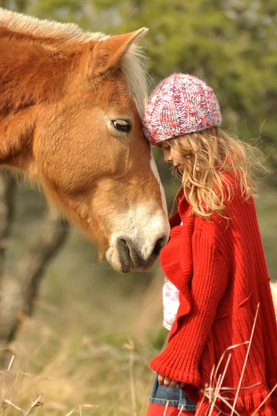 Amistad con tu caballo — Foto de Stock