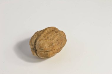 Hafif arka planda doğal bir ceviz.