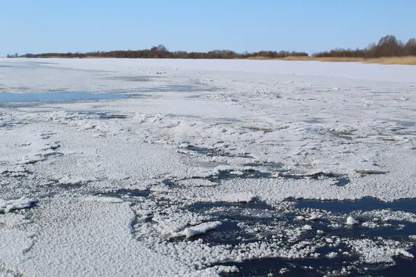 シェクスナ川冬の氷で覆われている ロシア ヴォログダ地域は大規模な川 Sheksna Winter これらの部分では 寒さと雪 この川はシーズンで覆われ 凍った氷です 美しい風景が広がります — ストック写真