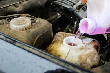 Arabanın / resminin olduğu cam yıkama tankındaki dondurucu olmayan sıvıyı dolduruyorum. Mevsim soğuk, kış. Cam yıkama tankı donmayan bir sıvıyla dolu. Pembe. Dondurulmayan suyu döktükleri yer..
