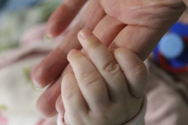 Händer Mor Och Ett Litet Barn Kärlek Foto Hand Kvinna — Stockfoto