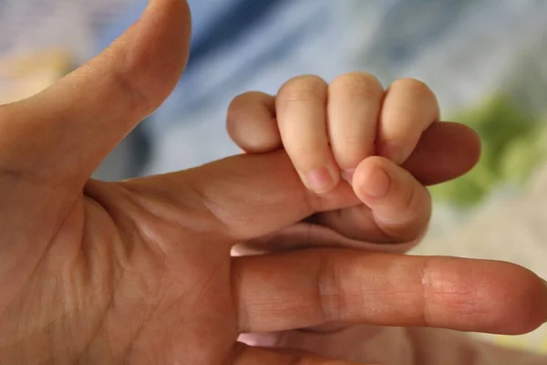 Ręce Matki Małego Dziecka Jest Miłość Fotografia Ręka Kobiety Dziecka — Zdjęcie stockowe