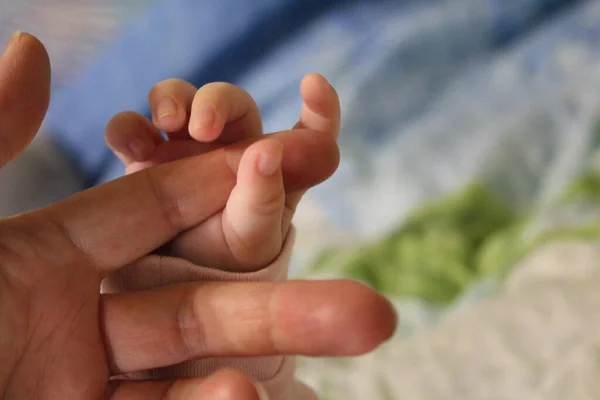 Mãos Uma Mãe Uma Criança Pequena Amor Foto Mão Uma Imagem De Stock