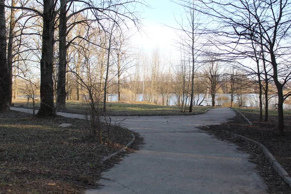 Landschaft Allee Park Und Ein Teich Naturlandschaft Photo Allee Park — Stockfoto