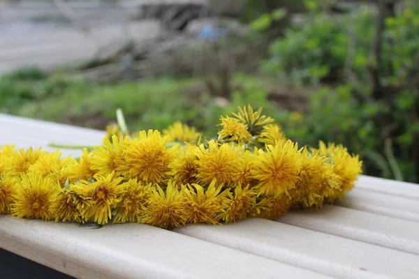 yellow flowers in a wreath on a wooden background / photo of a wreath of yellow dandelions. flowers are woven into a wreath. the job is not done. plants are lying on the bench.the time of year is spring.the grass is green.