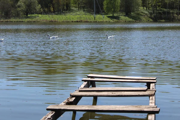 Alter Hölzerner Brückenpfeiler See Foto Alte Brücke See Teich Fluss — Stockfoto