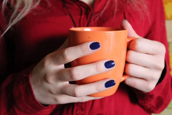 Uma Mulher Com Uma Xícara Chá Quente Café Suas Mãos Imagem De Stock