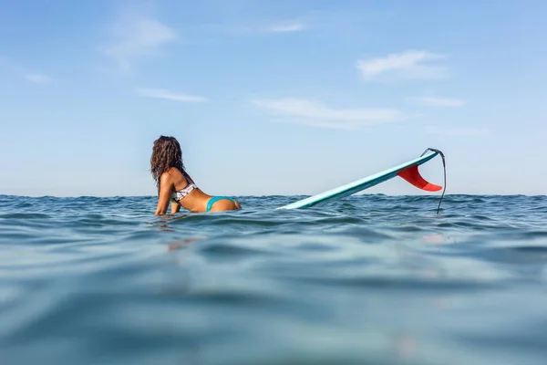 Bir güzel sportif kız okyanusta sörf. — Stok fotoğraf