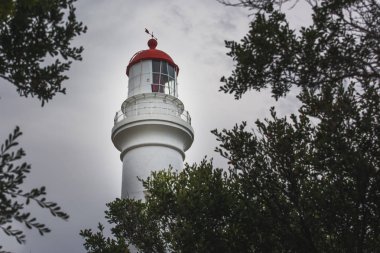 Ağaçların arasından deniz feneri