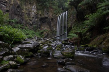 Hopetoun şelale orman içinde