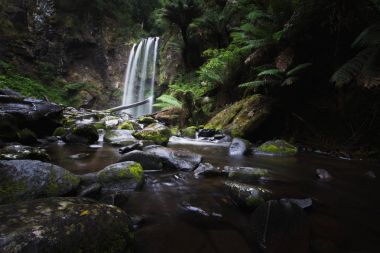 Hopetoun şelale orman içinde