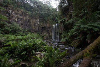 Hopetoun şelale orman içinde