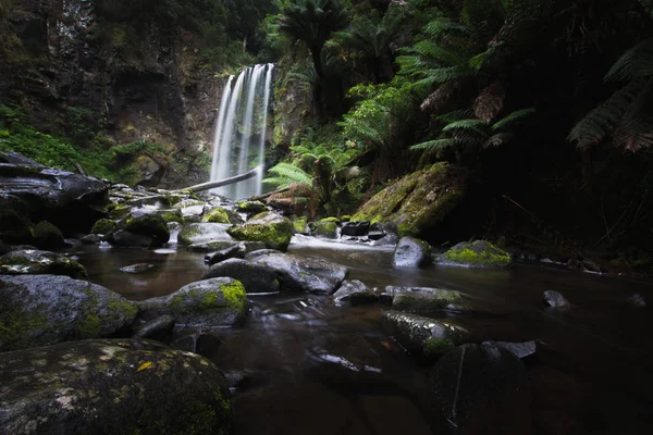 Hopetoun şelale orman içinde