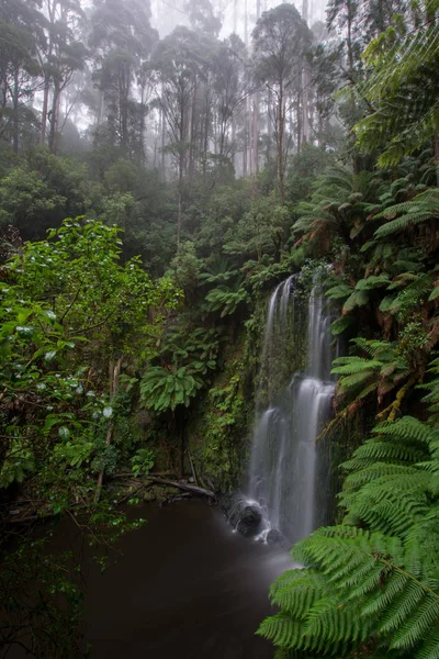  Yemyeşil yağmur ormanları içinde Beauchamp şelale