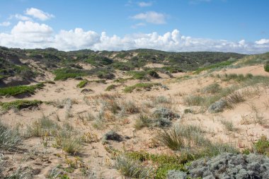 Beach kumul güneşli Coorong Milli Parkı'nda, Güney Aus