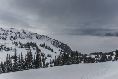 Dağın tepesinde ağaçlarda kar kaplı