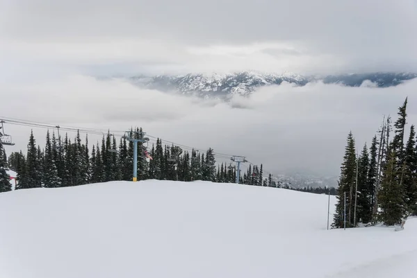 Árboles cubiertos de nieve en la cima de la montaña — Foto de Stock
