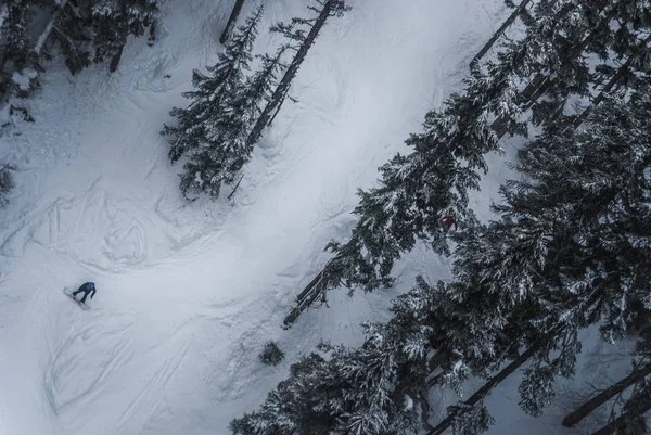 Snowboarder cayendo entre los árboles de Whistler — Foto de Stock