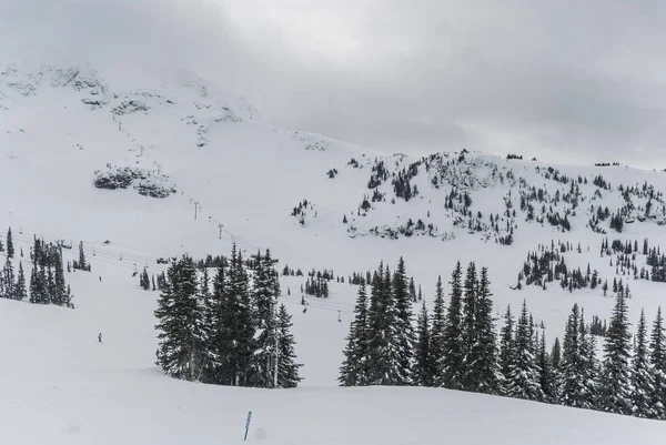 Árboles cubiertos de nieve en la cima de la montaña — Foto de Stock