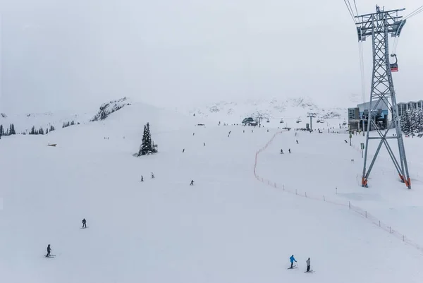 Kayakçı ve snowboard düşkünleri Whistler geniş açık yamaç aşağı gidiyor 