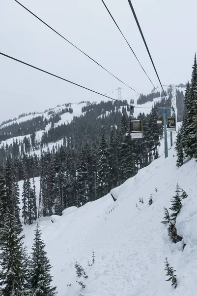 Ski-Gondel fährt auf schneebedeckten Berg zwischen Bäumen — Stockfoto