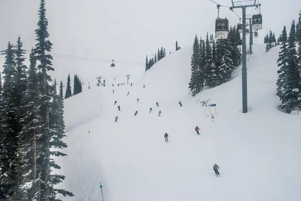 Kayakçı ve snowboard düşkünleri Whistler Blackcomb yamaç aşağı gidiyor 