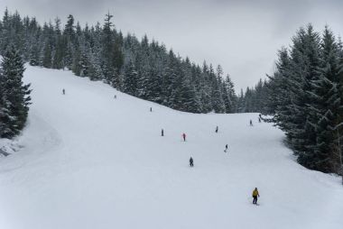 Kayakçı ve bir ağaç gidiş snowboard Whistler çalıştırmak 