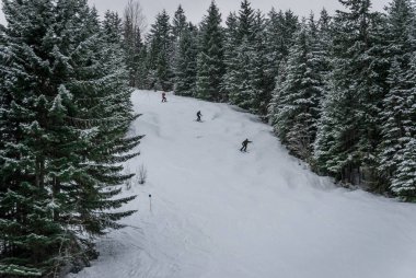 Kayakçı ve bir ağaç gidiş snowboard Whistler çalıştırmak 