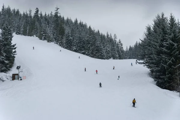 Esquiadores y snowboarders bajan por una pista arbolada en Whistler — Foto de Stock