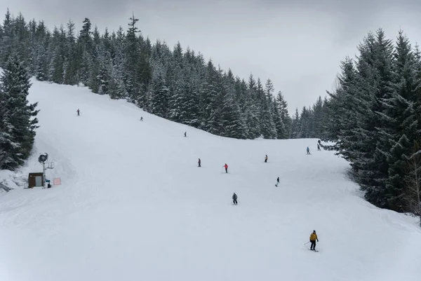 Kayakçı ve bir ağaç gidiş snowboard Whistler çalıştırmak 