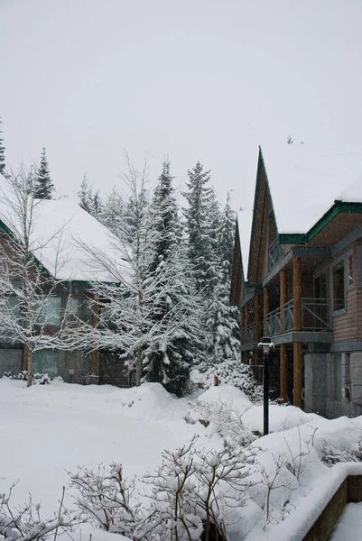 Esquí cubierto de nieve en Whistler, Canadá — Foto de Stock