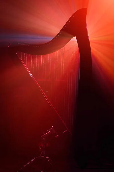 La harpe électro dans les rayons de lumière — Photo
