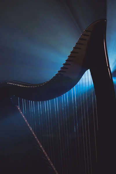 La harpe électro dans les rayons de lumière — Photo