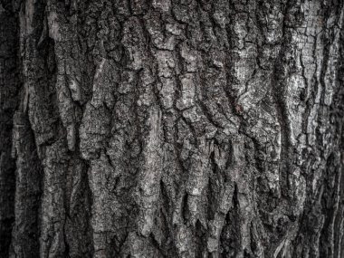 Kullanım için ahşap dokular